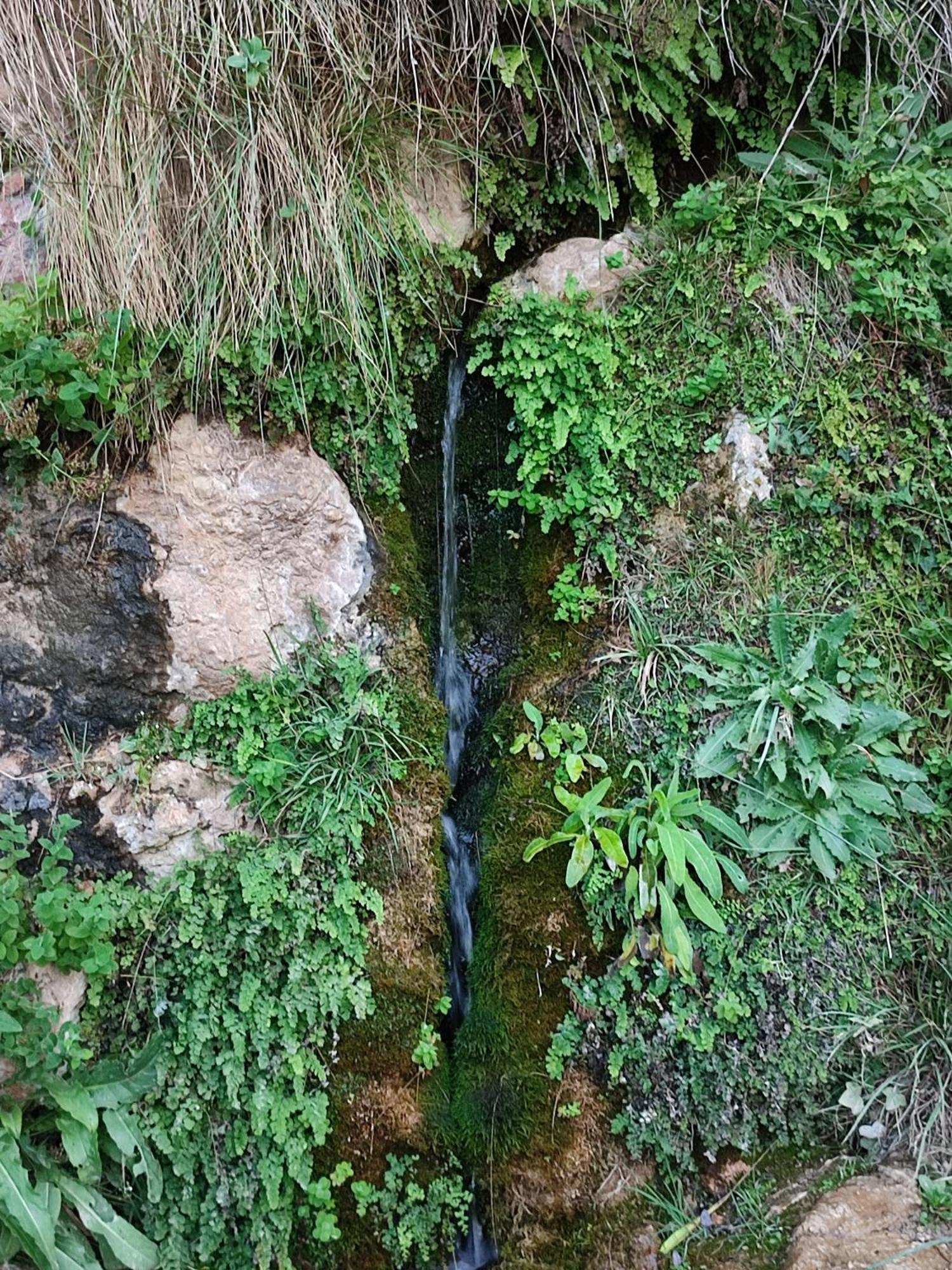 El Canton Bogarra Kültér fotó